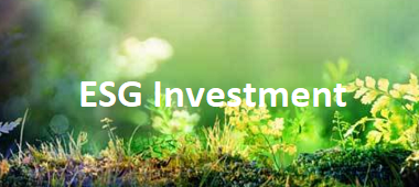 ESG Investment Panel discussopm