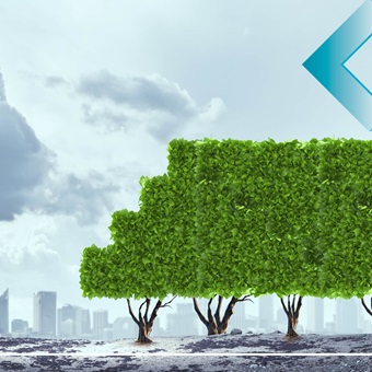 IMAP Roundtable focus on Responsible investing: What’s on the horizon?
